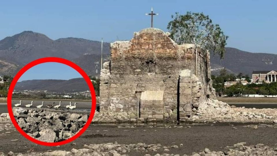 Día Cero en Guanajuato: Esta es la primera ciudad de México que se quedaría sin agua